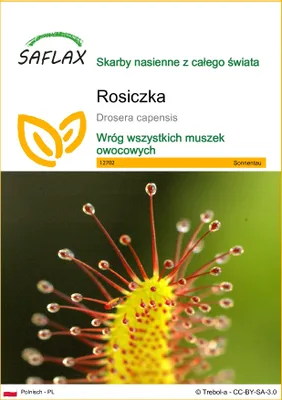 Zdjęcie produktu dla SAFLAX - Rosiczka - 200 Nasiona - Drosera capensis
