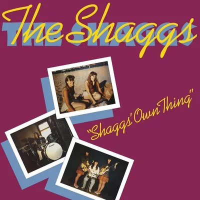 Produktbild von Shaggs' Own Thing