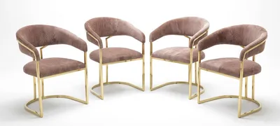 Image de Ensemble de 4 chaises de design Rosa, style moderne, idéal pour une salle à manger. Structure en métal