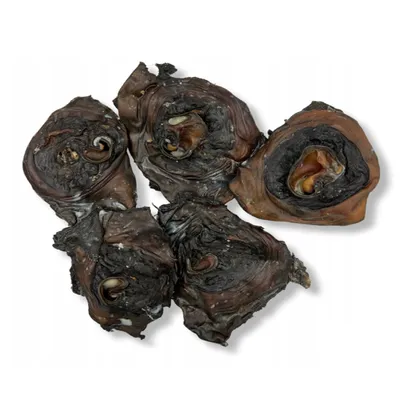 Produktbild von Rinderohrmuscheln 12–15 cm getrocknet – Rinderohren Hundefutter Kauartikel Hundesnack Naturkauartikel Zahnpflege 5 kg
