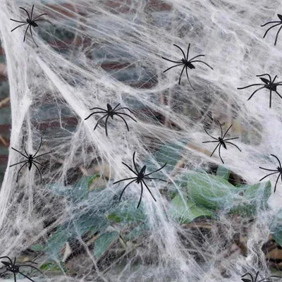 Produktbild von MSQ Halloween-Spinnweben AWSJZZ(3) Dehnbar mit Spinnen