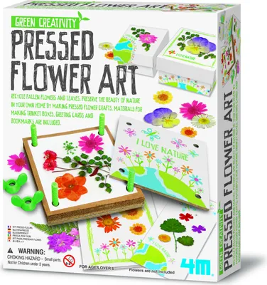 Produktbild von 4M Pressed Flower Art, Children's flower pressing kit