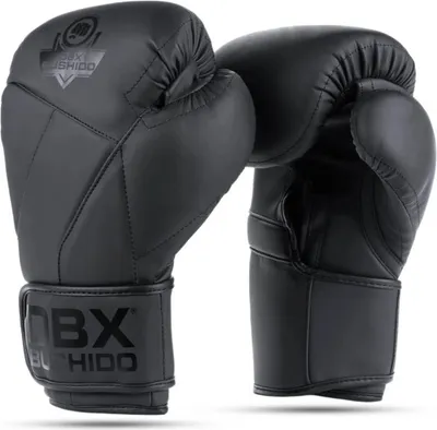 Immagine prodotto di Guanti da boxe DBX BUSHIDO B-2v15B 12oz.