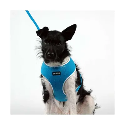 Produktbild von Pet-Star Softgeschirr / Netzgeschirr - Blau - L