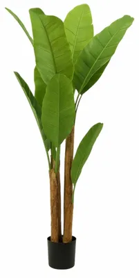 Produktbild von HowHomely Künstliche Bananenpflanze Kunstpflanze 160 cm im Topf Wohnzimmer Deko Boho