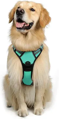 Image de Harnais pour chien vert, respirant et réfléchissant, taille XL