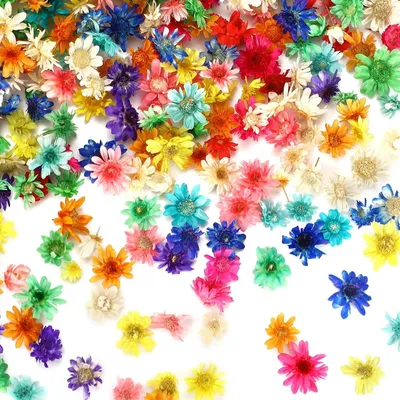 Produktbild von 420 kleine, natürliche Trockenblumen für Nagelkunst, Harzkerzen, Scrapbooking und Heimdekoration