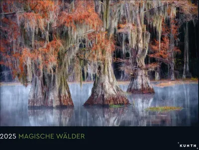 Produktbild von Magische Wälder - KUNTH Wandkalender 2025
