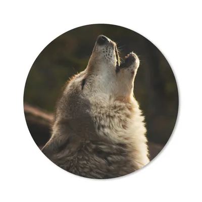 Produktbild von MuchoWow® Mauspad Mousepad Wolf - Grau - Tiere 20x20 cm - Mousepads - Maus Mat - Pad - Mausunterlage - Schreibtischmatte