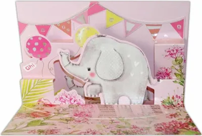 Immagine prodotto di Abbonamento compleanno - Kalpol