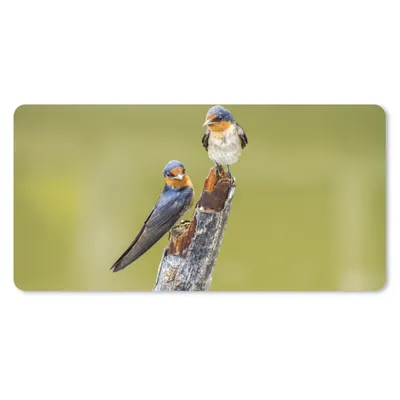 Produktbild von MuchoWow® Schreibtischunterlage Vögel - Zweig - Porträt 80x40 cm - XXL Mauspad - Gaming Mauspad