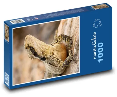 Produktbild von Puzzle 1000 Eidechse am Felsenhang - martinpuzzle