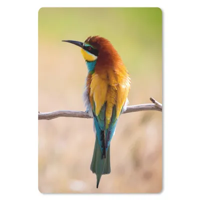 Produktbild von MuchoWow® Mauspad Mousepad Vögel - Bienenfresser - Tiere 18x27 cm - Mousepads - Maus Mat - Pad - Mausunterlage