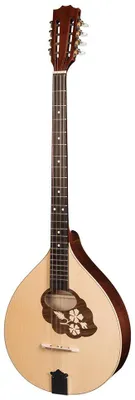 Obrázek produktu pro Mihai Hora M1089 irské bouzouki