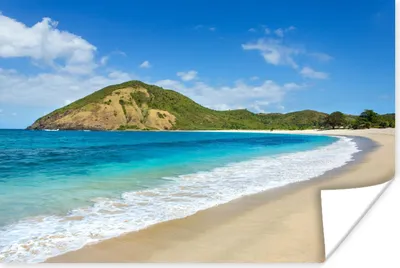 Produktbild von MuchoWow® Poster Meer - Tropen - Strand - Pflanzen 60x40 cm - Schlafzimmerdekoration