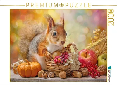 Produktbild von CALVENDO Puzzle Eichhörnchenliebe | 2000 Teile Lege-Größe 90x67cm Foto-Puzzle für glückliche Stunden