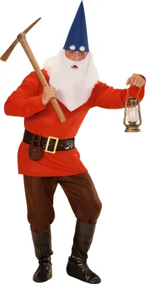 Immagine prodotto di Costume da nano per uomo, colorato