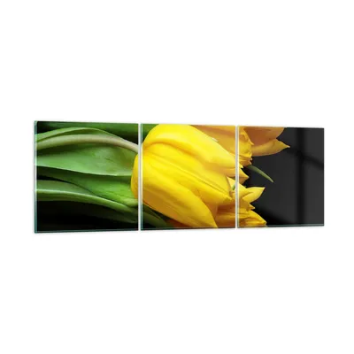 Produktbild von Bilder auf glas - Tulpen Strauß Spiegelreflexion grün - 90x30cm - Glasbilder - Wandbilder - Kunstdruck - Wanddekoration aus Glas - Glas Bilder - Wandbild auf Glas - GCA90x30-0509
