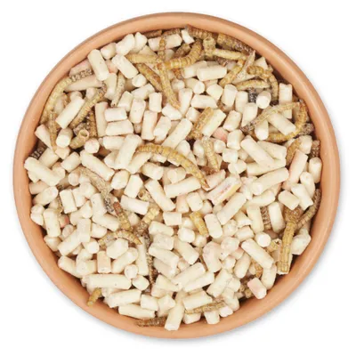 Produktbild von CJ Wildlife Wildvogelfutter mit Insekten 2,5kg - getrocknete Mehlwürmer & Erdnuss-Leckerbissen - Ganzjahresfutter - mind. 15% Protein