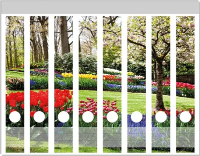 Produktbild von Wallario Ordnerrücken Sticker, selbstklebend für schmale Ordner, 8 Stück, Motiv Bunte Blumen und Kirsch-Baum im Park blühen im Frühling