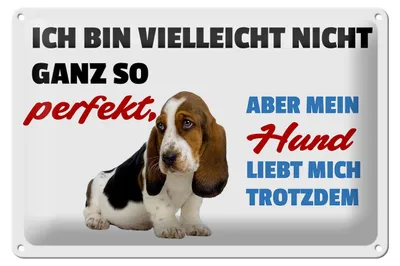 Produktbild von Blechschild Spruch 30x20cm mein Hund liebt mich trotzdem