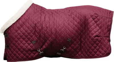 Produktbild von Kentucky Horsewear Turnierdecke 160g Show Rug Bordeaux 145