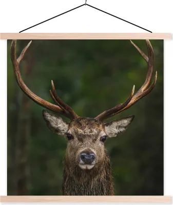 Produktbild von MuchoWow® Textilposter Hirsch - Geweih - Natur 40x40 cm mit holzfarbenen Rahmen - Posterleiste