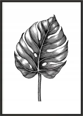 Image de Affiche photo dans un cadre 43x33 cm Feuille P1139