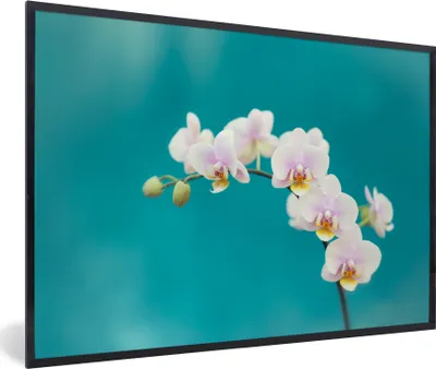 Produktbild von MuchoWow® Gerahmtes Poster Orchidee - Blumen - Pflanze - Weiß - Lila 90x60 cm - Poster mit Schwarzem Bilderrahmen Wandposter Rahmen Foto Bilder - Fotorahmen - Foto-Plakat