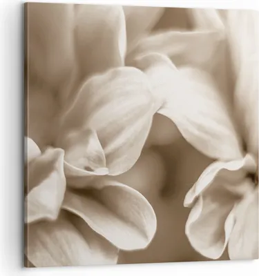 Produktbild von Bild auf Leinwand - Leinwandbild - Einteilig - Blumen Boho ohne - 60x60cm - Wand Bild - Wanddeko - Wandbilder - Leinwanddruck - Bilder - Wanddekoration - Leinwand bilder - Wandbild - AC60x60-4767