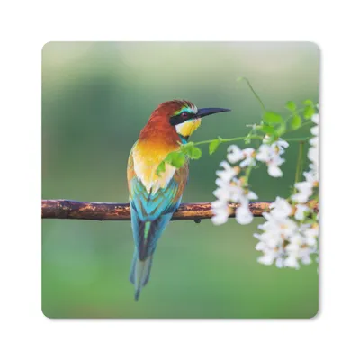 Produktbild von MuchoWow® Mauspad Mousepad Vogel - Bienenfresser - Blumen 30x30 cm - Mousepads - Maus Mat - Pad - Mausunterlage - Gaming