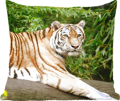 Produktbild von MuchoWow® Zierkissen Sofakissen Wohnzimmer Dekokissen 45x45 cm Tiger - Baum - Blätter - Schlafpolster - Polster für das Sofa