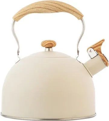 Immagine prodotto di Piccolo bollitore elettrico in acciaio inossidabile per latte, tè e caffè - ideale per piani cottura a gas ed elettrici