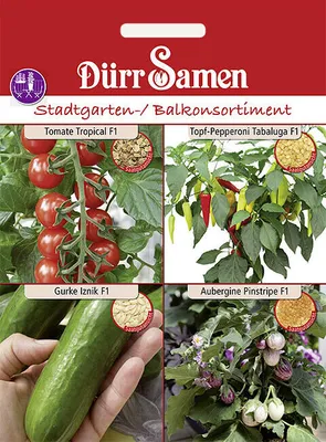 Produktbild von Dürr-Samen - Stadtgarten-/Balkonsortiment verschiedener Fruchtgemüse - Saatgut - 4303