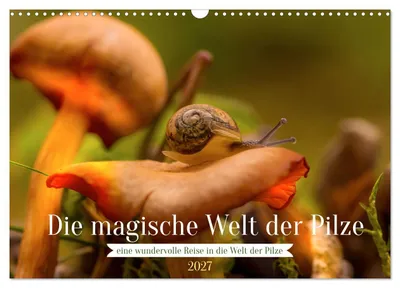 Produktbild von Die magische Welt der Pilze (Wandkalender 2027 DIN A3 quer), CALVENDO Monatskalender
