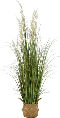Immagine prodotto di Pianta artificiale - Canna in vaso - Altezza circa 120 cm - PVC di alta qualità - Decorazione di facile manutenzione per casa, giardino e ufficio - 1 pezzo - Verde
