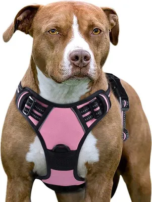 Produktbild von Famanu Hundegeschirr – Anti-Zieh-Geschirr – Verstellbar – Schwarz
