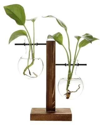 Produktbild von Solidchoice – Hydroponische Glasvasen mit Holzständer für Pflanzen