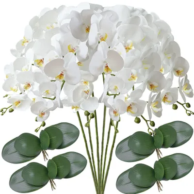 Produktbild von Set aus 6 künstlichen Phalaenopsis-Orchideen