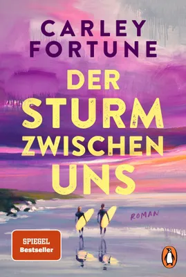 Produktbild von Der Sturm zwischen uns