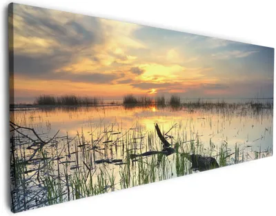 Produktbild von Wallario Premium Leinwandbild Schilf am Abend - Sonnenuntergang über der Seelandschaft in Größe 80 x 200 cm