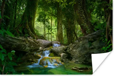 Produktbild von MuchoWow® Poster Dschungel - Steine - Wasser - Natur - Pflanzen 60x40 cm - Schlafzimmerdekoration