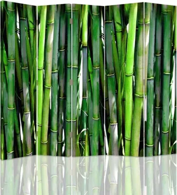 Produktbild von Paravent - Raumteiler Bamboo - Dekorativer Raumtrenner cm. 180x170 (5 x)