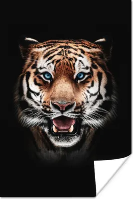 Produktbild von MuchoWow® Poster Porträt - Tiger - Schwarz 40x60 cm - Plakate für die Wand - Poster Babyzimmer