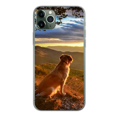 Produktbild von MuchoWow® Handyhülle Schutzhülle Hülle für iPhone 11 Pro Max Ein Golden Retriever beobachtet den Sonnenuntergang Silikon Softcase Handy Hülle - Schutz