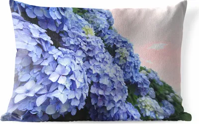 Produktbild von MuchoWow® Outdoor Kissen - Hortensienblüten - 50x30 cm - Wetterfest - Lounge Kissen - Sofa kissen - Wohnzimmer Dekoration
