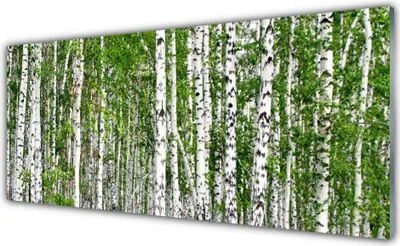 Produktbild von Acrylglasbilder 125x50 Wandbild Druck Birken Wald Bäume Natur