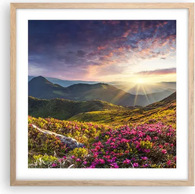 Produktbild von Gerahmtes Poster - Rahmen in heller Eiche - Gebirge Wiese Landschaft Wald - 50x50 cm - Wand Bild - Wanddeko - Wandbilder - Wandposter - Bilderrahmen - Bilder - Kunstdruck - Wandbild - P2NAC50x50-3152
