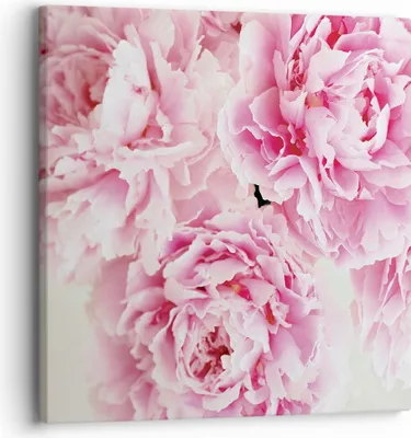 Produktbild von Bild auf Leinwand - Leinwandbild - Einteilig - Pfingstrosen Blumenstrauß Blumen - 30x30cm - Wand Bild - Wanddeko - Wandbilder - Leinwanddruck - Bilder - Wanddekoration - Leinwand bilder - AC30x30-4961