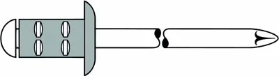 Produktbild von Mehrbereichsblindnieten PolyGrip 500 Stück 4,8x10